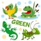Wild animals and insects of green color 2