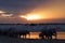 Wild animals parading at the water hole near okaukuejo camp etosha national park in Namibia