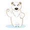 Wild animals. Polar Bear Wildlife Vector