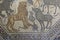 Wild animals roman mosaic