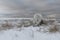 Wild arctic fox Vulpes Lagopus in tundra in winter time