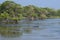 Wild Asiatic buffalo lying in a shallow lake in the national park Yala