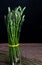 Wild asparagus on a wooden board isolated with dark background