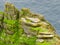 Wild Atlantic Way Ireland: Extraordinary rock formations, seabirds viewed from Skellig Michael`s steep unprotected rock staircase