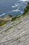 Wild Atlantic Way Ireland: Stunning view -- climbers return to sea level from Skellig Michael`s ancient unprotected staircasese