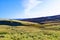 Wild autumnal moorland 2, Top Withens, Haworth, West Yorkshire.