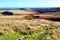 Wild autumnal moorland, Top Withens, Haworth, West Yorkshire.