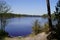 Wild beach access with water Lake of Hostens in Gironde france