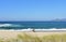 Wild beach with bright sand, vegetation in sand dunes and blue water with waves and foam. Women and dog walking. Galicia, Spain.