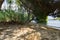 Wild beach in the Nidri, Lefkada island.