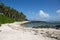 Wild beach in the pacific