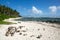 Wild beach in the pacific