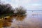 Wild beach sand in biscarrosse lake in south west France