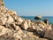 Wild beach in the village of Beldibi in Turkey