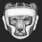 Wild bear. Boxing helmet. Boxer. Portrait of animal for emblem, logo, tee shirt.