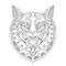 Wild beautiful wolf head hand draw on a white background. Color