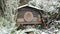 Wild bee insect hotel in winter time. snowing in garden