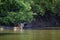 Wild bengal tiger bathing in the Karnali river at Bardia national park, Nepal