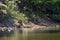 Wild bengal tiger sleeping along the river Karnali at Bardia National park, Bardia