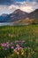 Wild Bergamot and the Prince of Wales Hotel in Waterton Lakes National Park