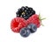 Wild berries. Blackberry, raspberries and bilberries isolated on white