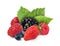 Wild berries. Blackberry, raspberries, strawberries, bilberries and green leaves isolated on white