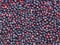 Wild berry pattern background texture