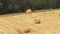 Wild Bird Common Raven - Corvus Corax Sitting On Hay Bale In Summer Field. Belarus, Belarusian Nature