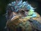 wild bird head closeup.wildlife.ecology.generative AI