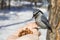 Wild bird sitting on hand