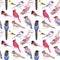 Wild birds watercolor seamless background- Birds of America