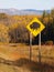 Wild bison road sign