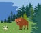 Wild bison stand forest, outdoor natural park flat vector illustration. Ecology surrounding environment, savage animal