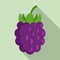 Wild blackberry icon, flat style