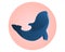 Wild blue orca on pink circle. Sign for dolphinarium.