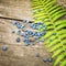 Wild blueberries and fern leave on a wooden background