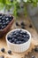 Wild blueberries in white bowl on burlap on wooden table. Natural superfood with vitamins.
