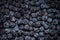 Wild Blueberry Close Up Food Background. Organic Fresh Bio Food