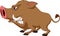 Wild boar cartoon