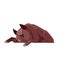 Wild boar dead or sleeping. Cartoon character of an adult mammal animal. A wild forest creature with brown fur. Side