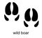 Wild boar Footprint. Boar track. Wild pig. Ungulate animal footprints. Mammal animal. Black Silhouette Design. Vector