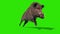 Wild boar green screen run cycle front loop 3D rendering animation