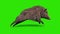 Wild boar green screen run cycle side loop 3D rendering animation