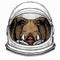 Wild boar, hog, pig. Animal head, portrait. Astronaut animal. Vector portrait. Cosmos and Spaceman. Space illustration