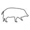 Wild boar Hog wart Swine Suidae Sus Tusker Scrofa contour outline black color vector illustration flat style image