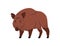 Wild boar, large forest pig, hog with brown fur. European Eurasian Sus Scrofa, swine beast. Woods fauna, omnivore mammal