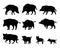 Wild boar set. Adults and piglets. Animal in natural habitat. Wild pig illustration. Isolated on white background