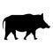 Wild boar Wild pig Hog Warthog icon black color vector illustration flat style image