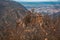 Wild Bodetal from La ViershÃ¶he viewpoint at Harz Mountains National Park in Germany