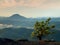 Wild bonsai of pine on sandstone rocks. Blue mist in valley below.